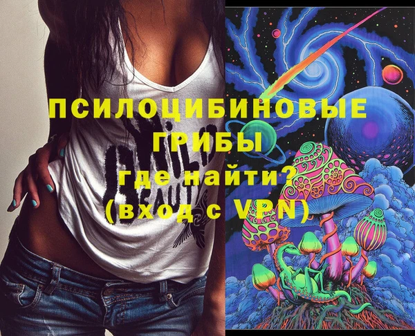 бошки Абинск