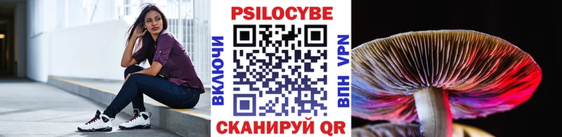 Галлюциногенные грибы Cubensis  Сорск 